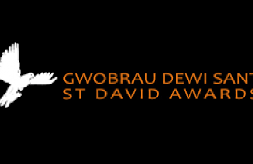 St David Awards 